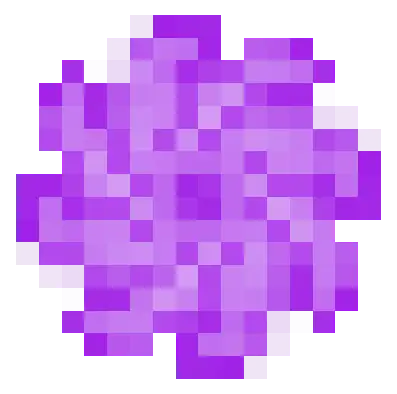 Creative Iris